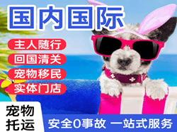 佳木斯机场空运国际宠物托运 【国